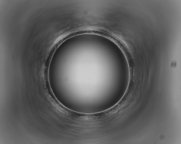 X0000095901404200801111158