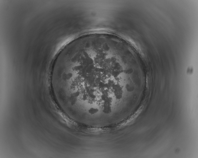 X0000095901405200801111158