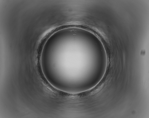 X0000095901406200801111158