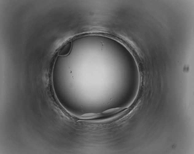 X0000095901407200801111158