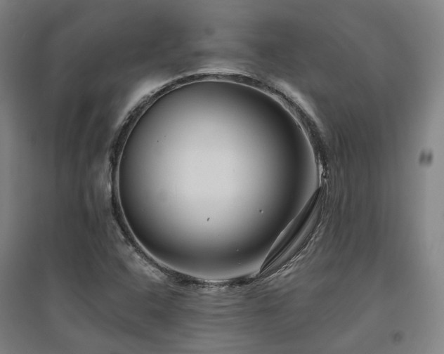 X0000095901408200801111158