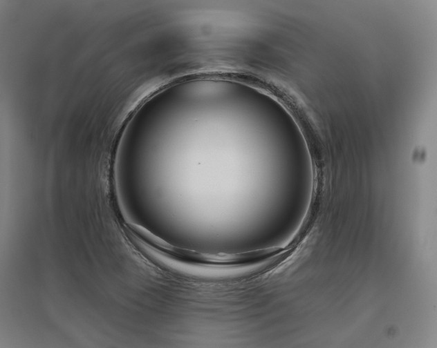 X0000095901409200801111159
