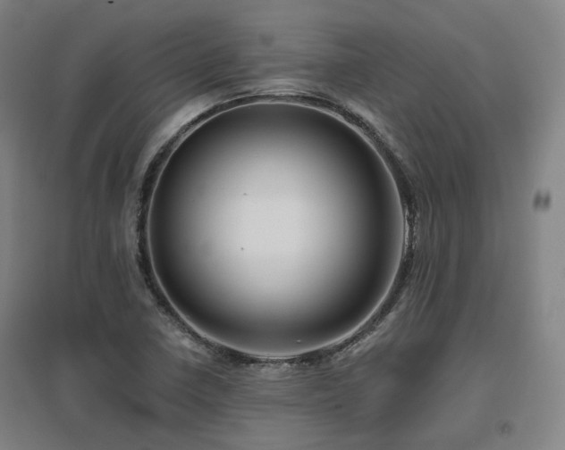 X0000095901410200801111159