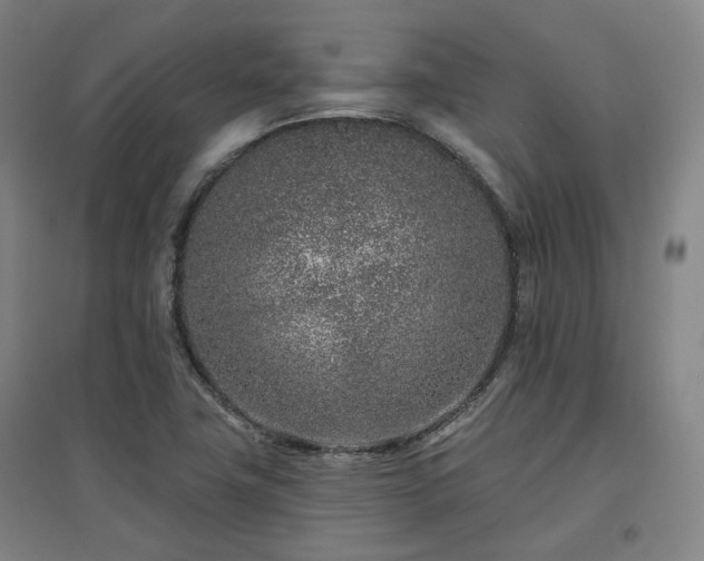 X0000095901411200801111159