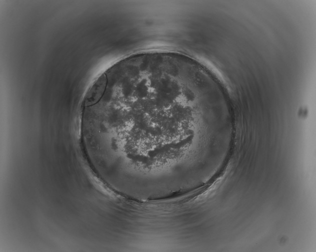 X0000095901413200801111159