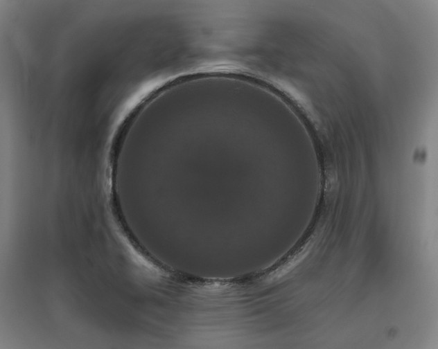 X0000095901414200801111159