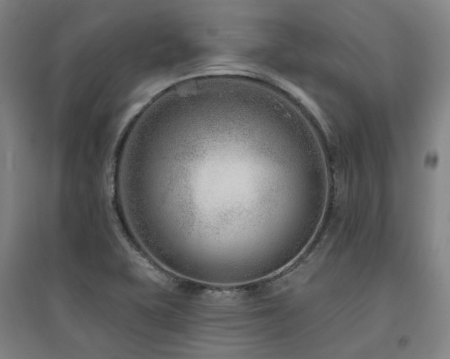 X0000095901415200801111159
