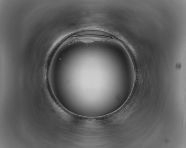 X0000095901416200801111159