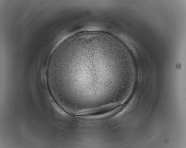 X0000095901417200801111159