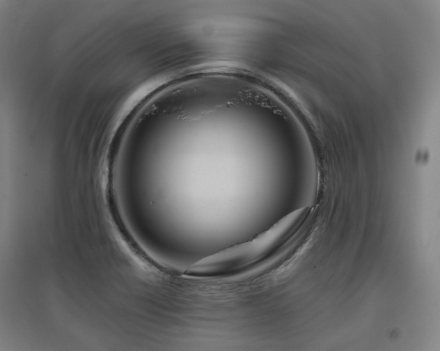X0000095901418200801111159
