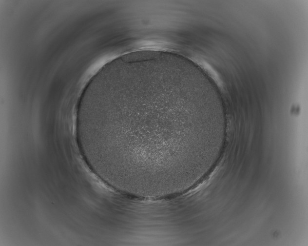 X0000095901419200801111159