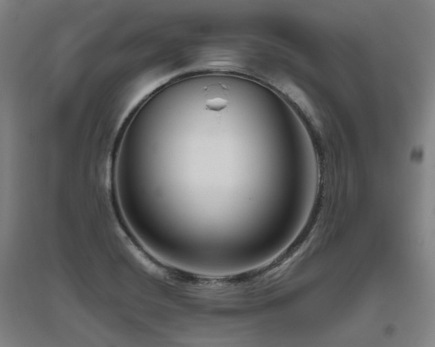 X0000095901420200801111159