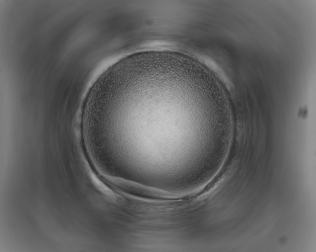 X0000095901421200801111159