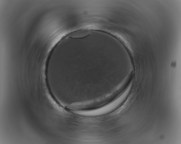 X0000095901422200801111159