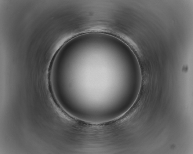 X0000095901423200801111159