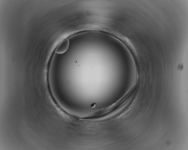 X0000095901424200801111159