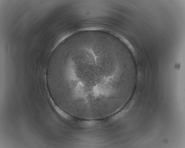 X0000095901425200801111159