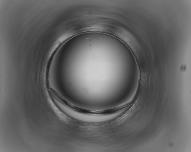 X0000095901426200801111159