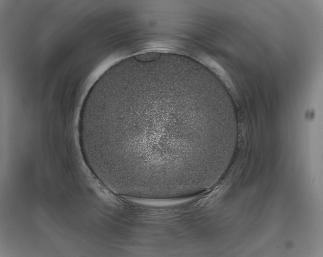 X0000095901427200801111159