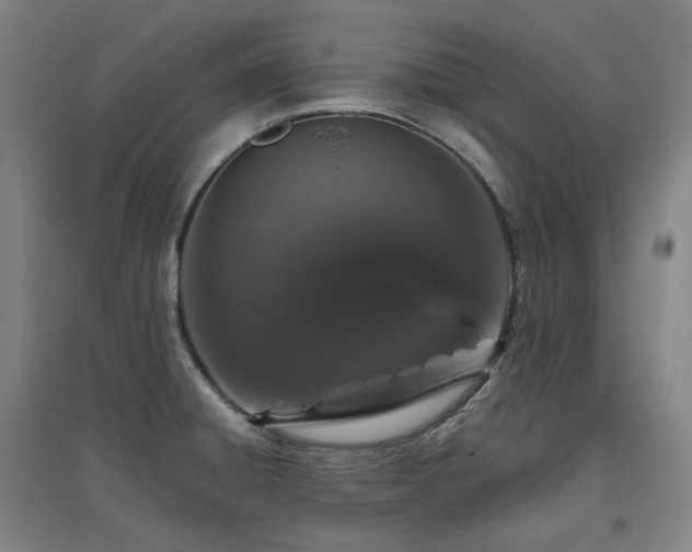 X0000095901428200801111159