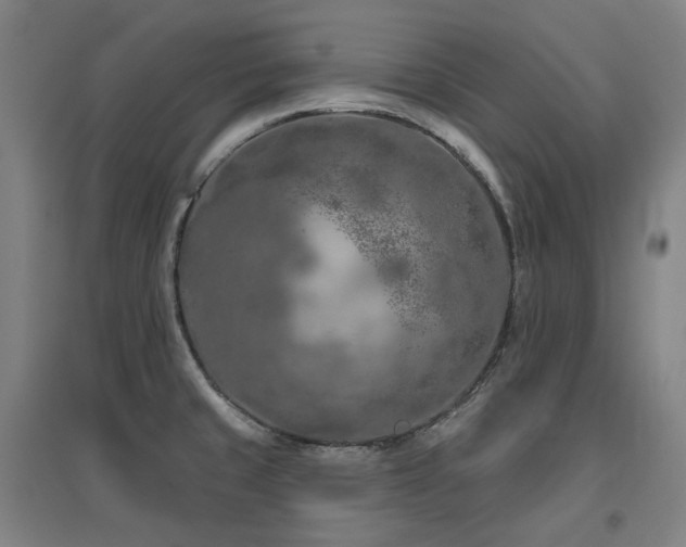 X0000095901429200801111159
