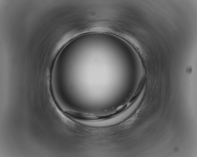 X0000095901430200801111159
