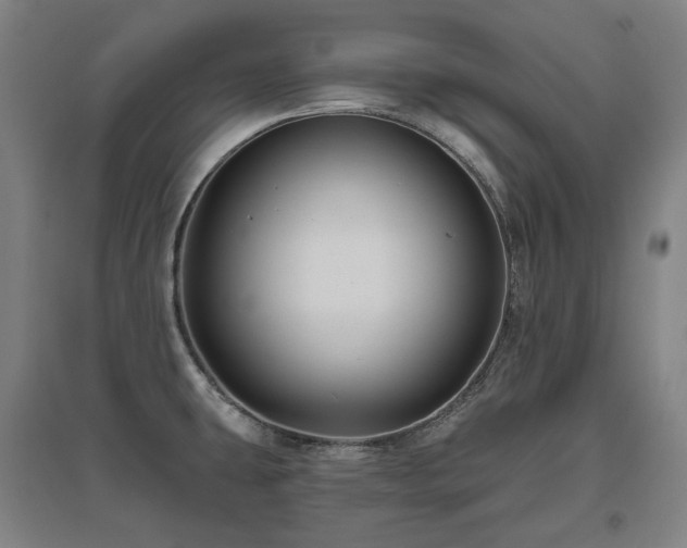 X0000095901431200801111159