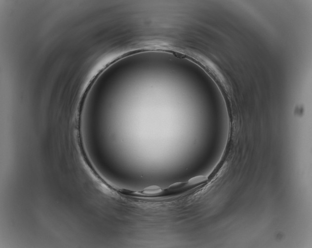 X0000095901432200801111159