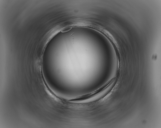 X0000095901433200801111159