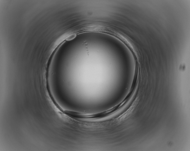 X0000095901434200801111159