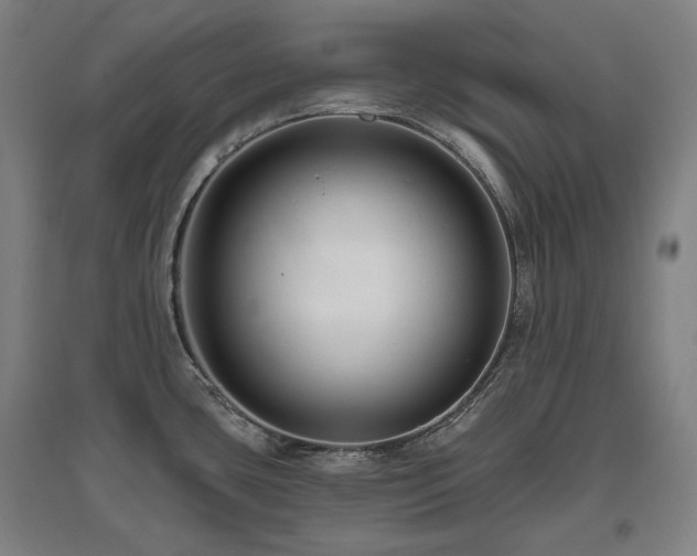 X0000095901435200801111159