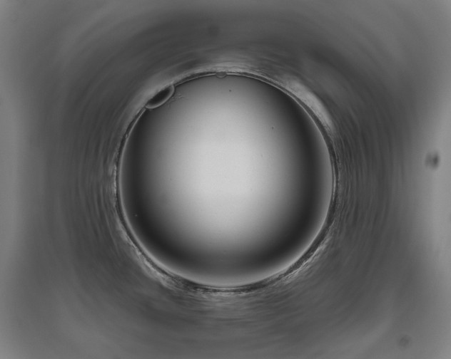 X0000095901436200801111159