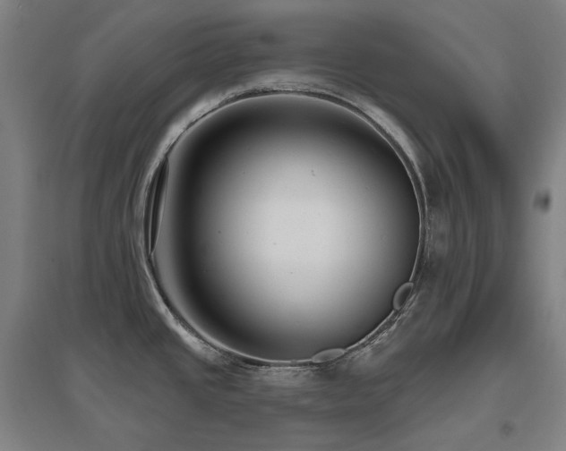 X0000095901437200801111159
