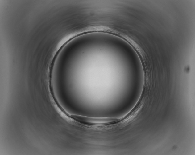 X0000095901438200801111159