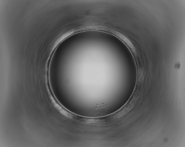 X0000095901439200801111159