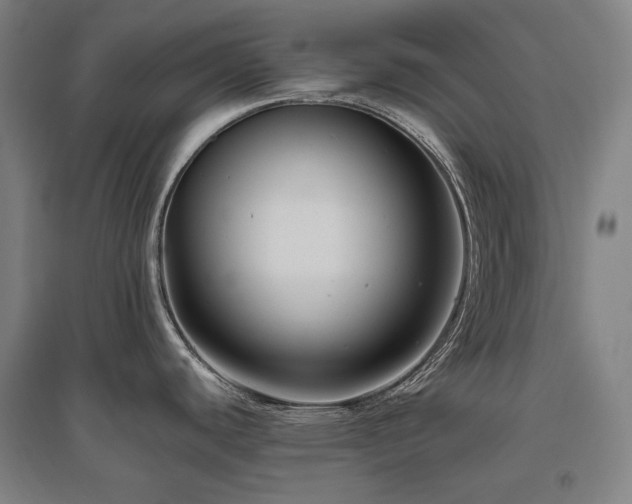 X0000095901440200801111159