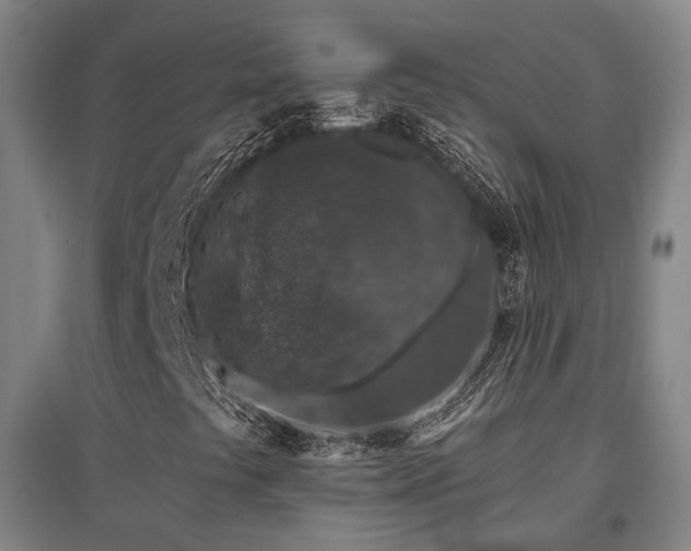 X0000095901441200801111158