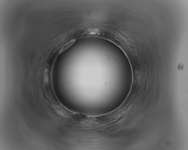 X0000095901442200801111158