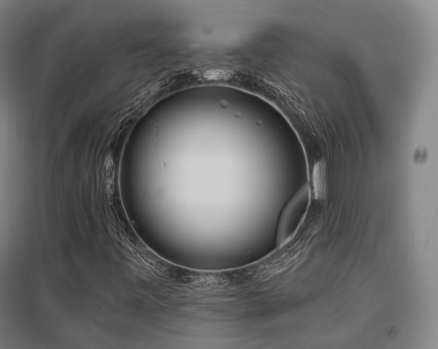 X0000095901443200801111158