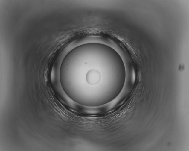X0000095901444200801111158