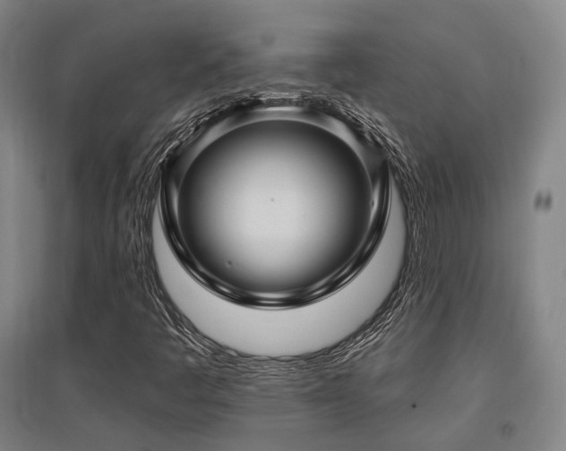 X0000095901445200801111158