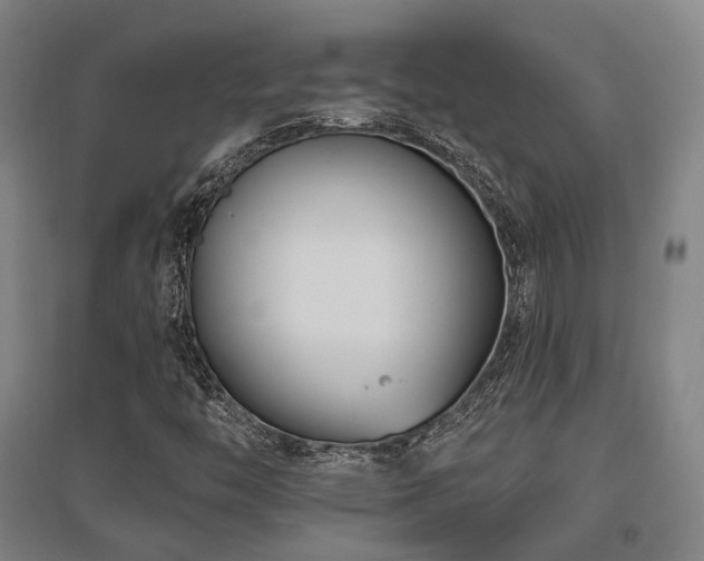 X0000095901446200801111158