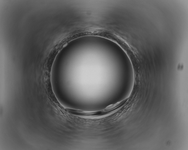 X0000095901447200801111158