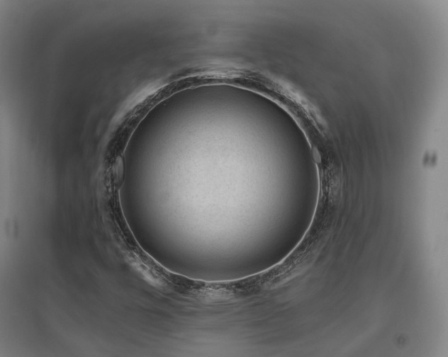 X0000095901448200801111158