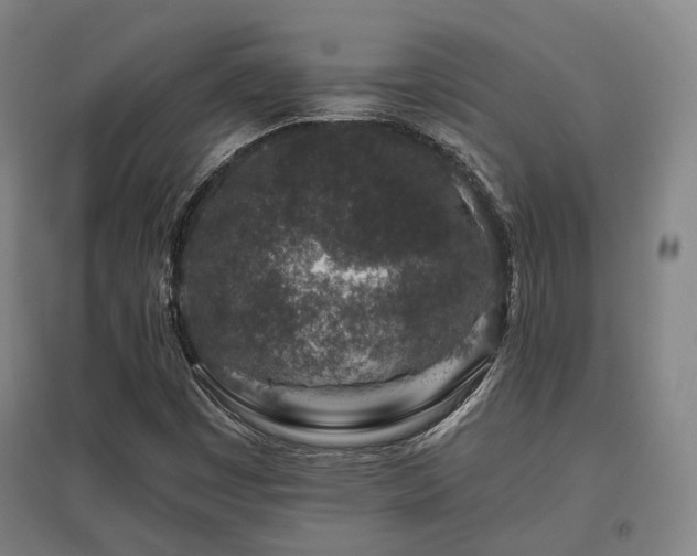 X0000095901449200801111158