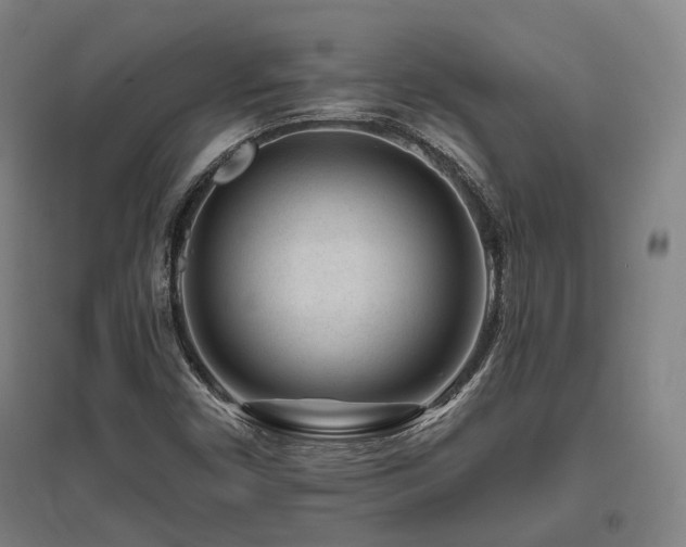 X0000095901450200801111158