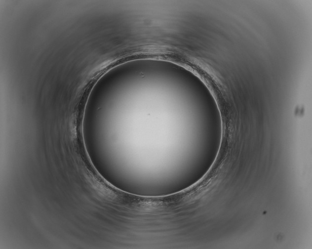 X0000095901451200801111158