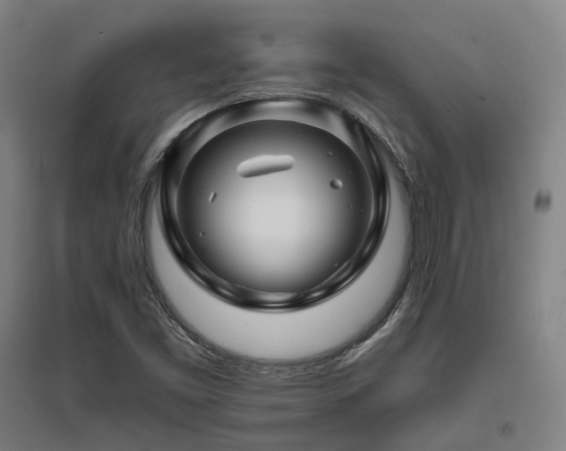 X0000095901453200801111158