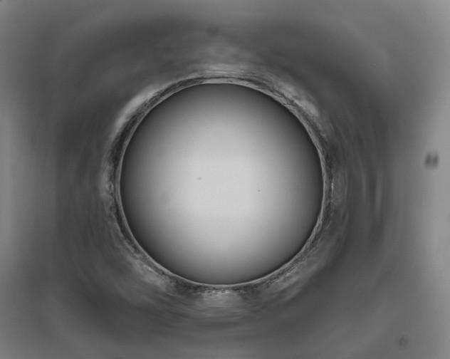 X0000095901454200801111158