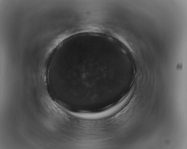 X0000095901455200801111158